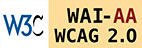 WCAG 2.0