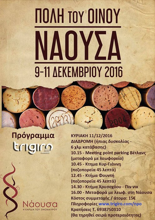 Naoussa The Wine City 2016